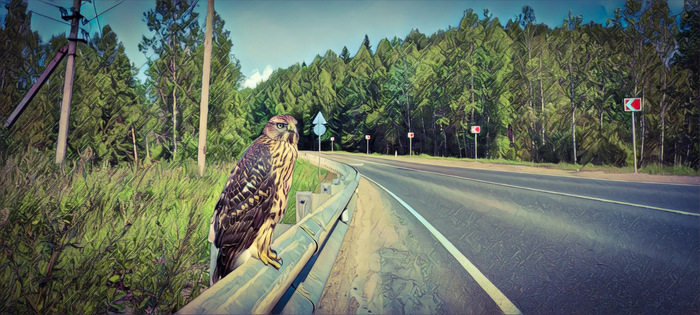 �������� �������.)