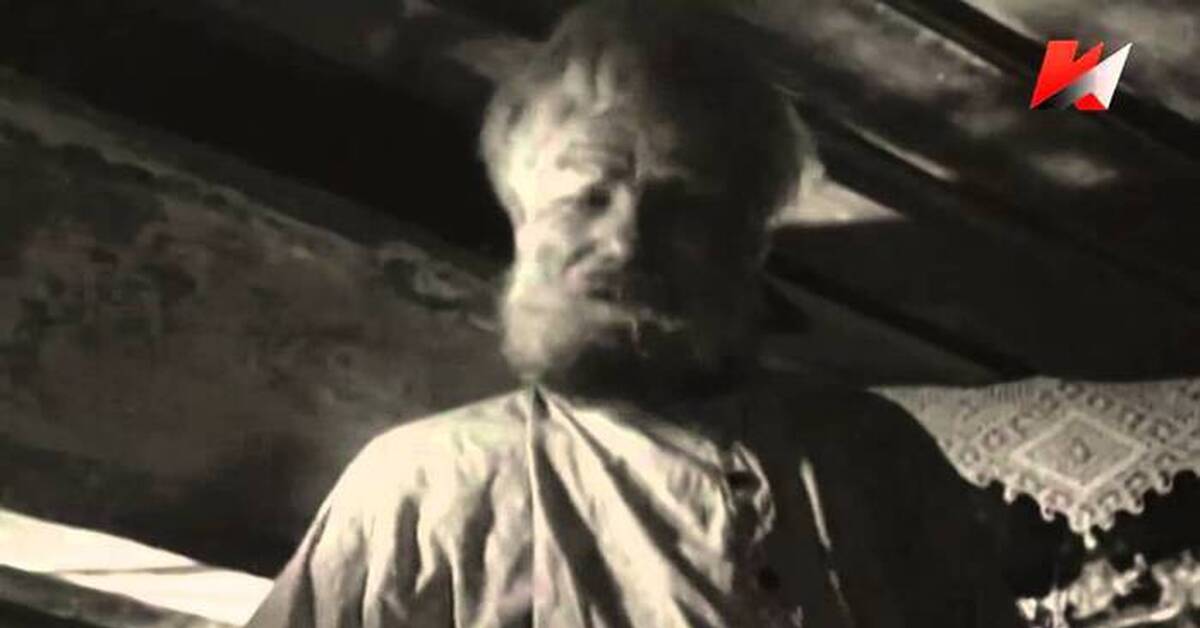 "Нахаленок" | Пикабу