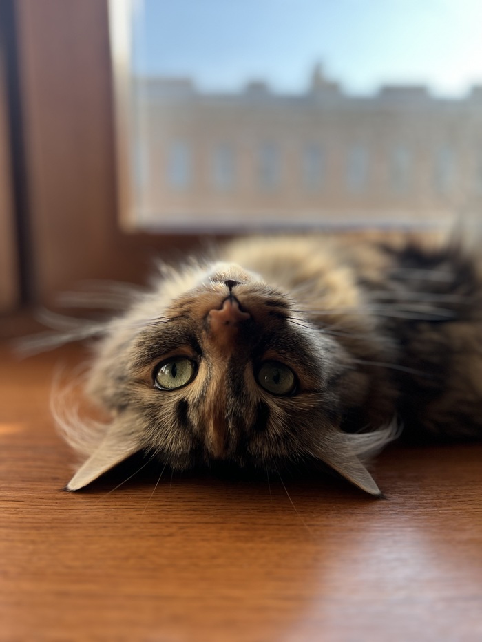   , , ,  ,  