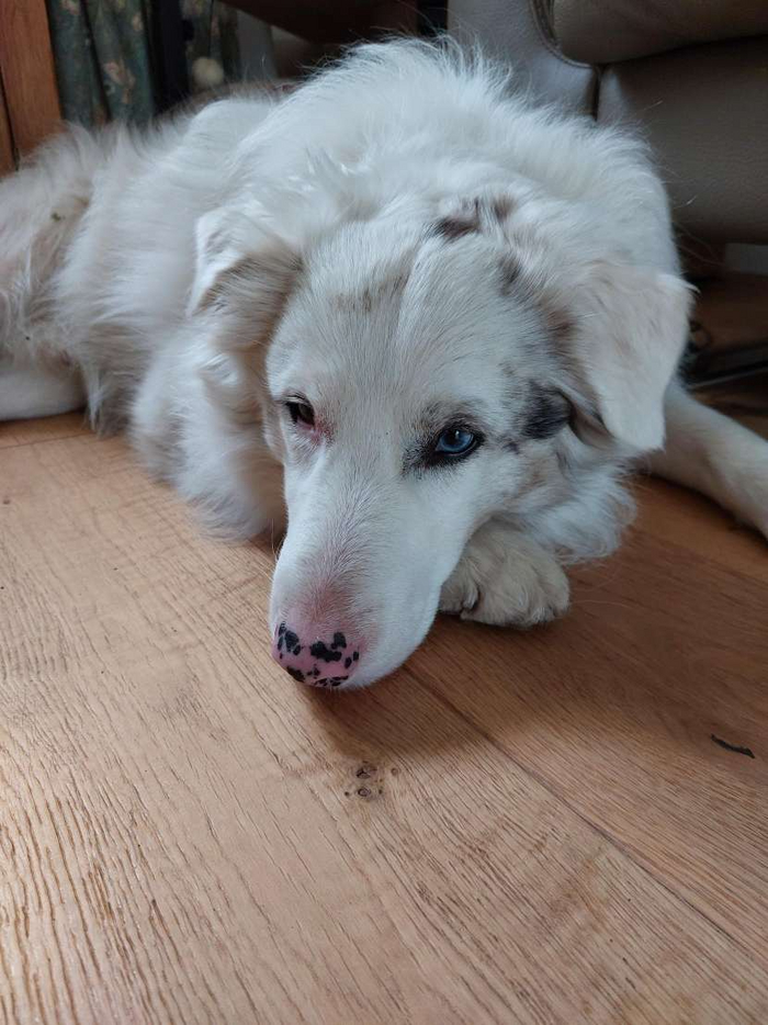 ������ ����� ����� �����