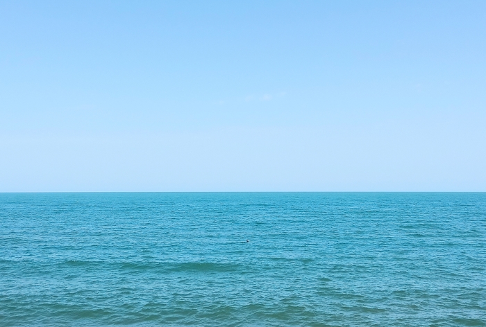 ������� ����������