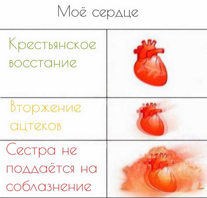  - ()