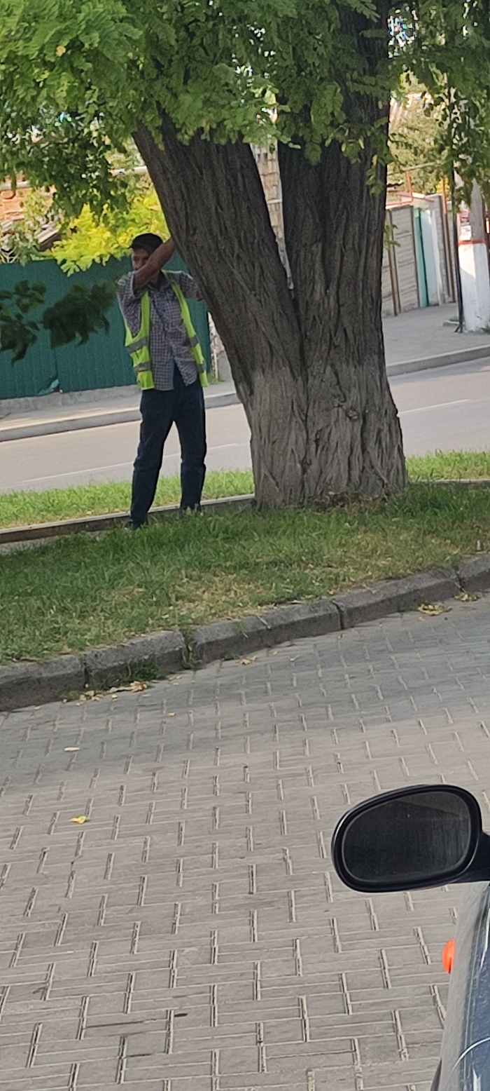  - ,  , , 