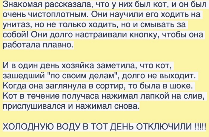 История про Кота | Пикабу
