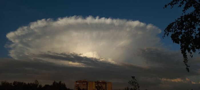 ������. ������ ������