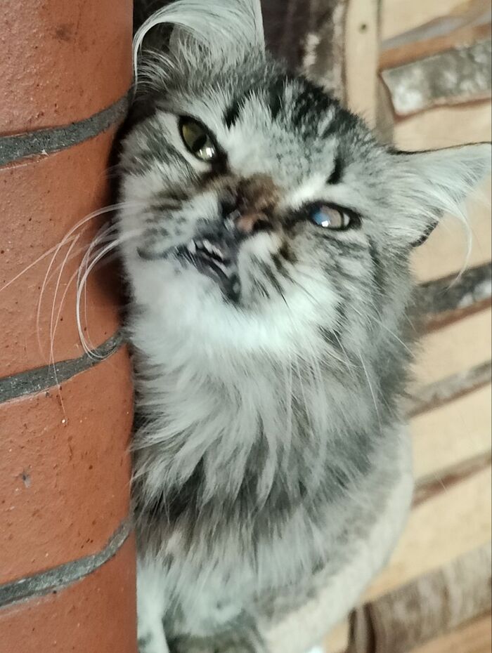            ,   , ,  , ,   , 