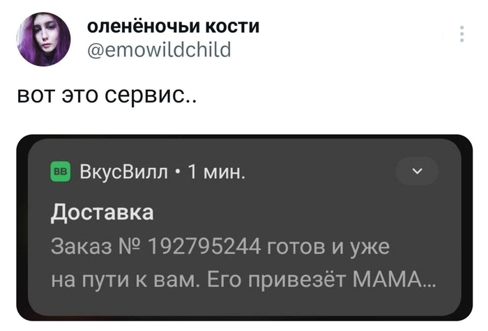 , , X (Twitter), , , 