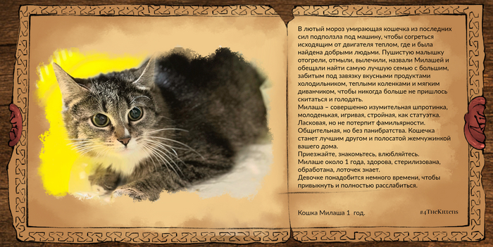 Милаша, примерно один год.