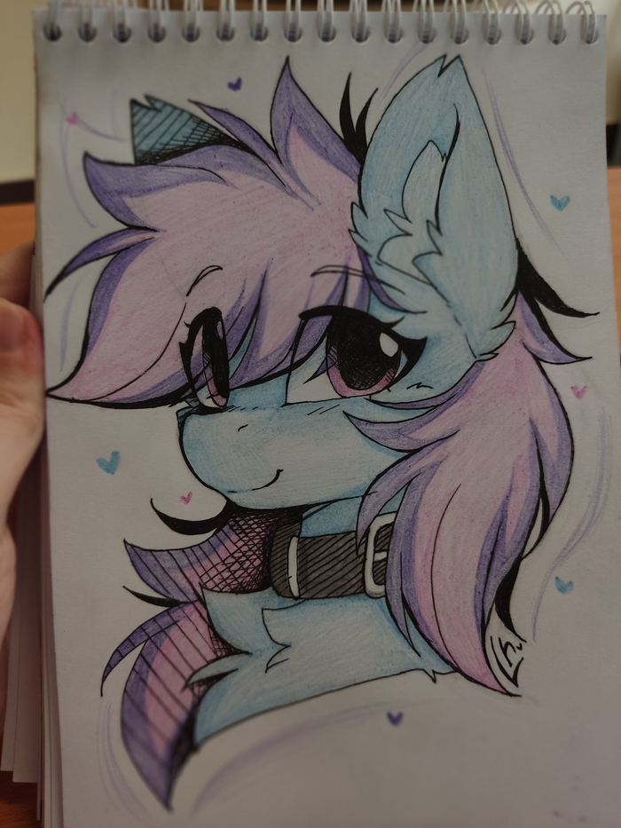 . .  ( My Little Pony, Original Character