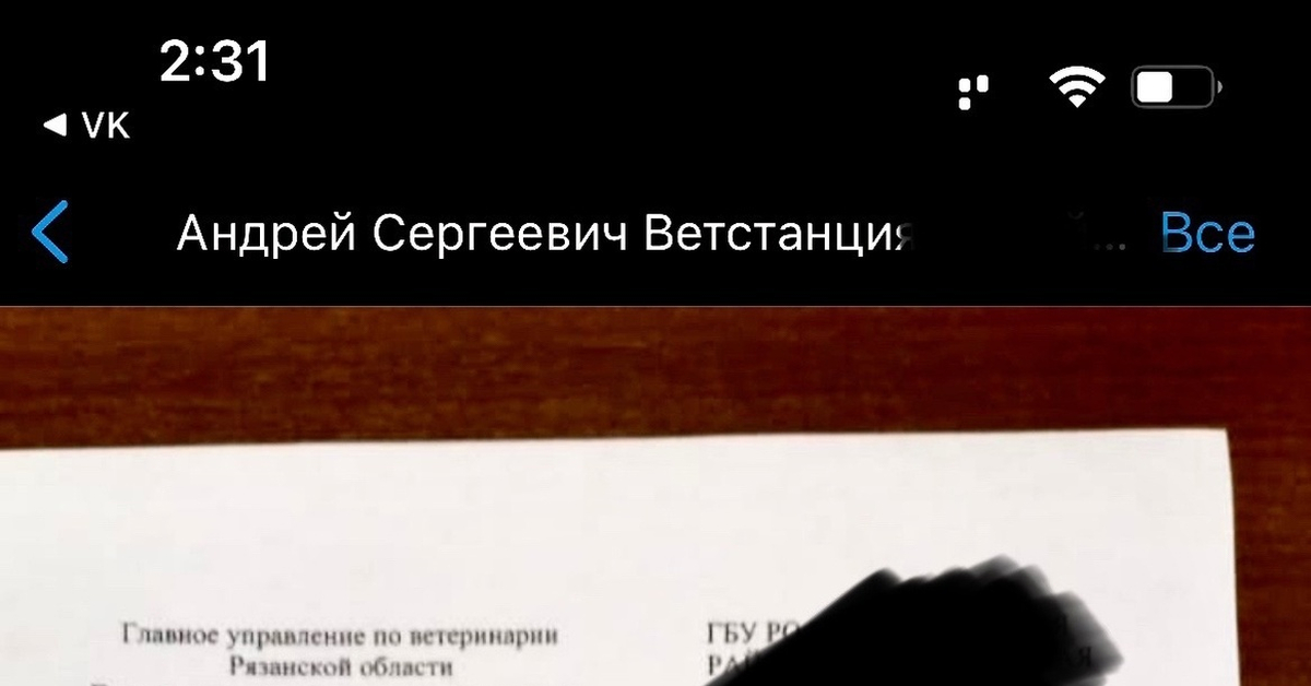 Бешенство | Пикабу