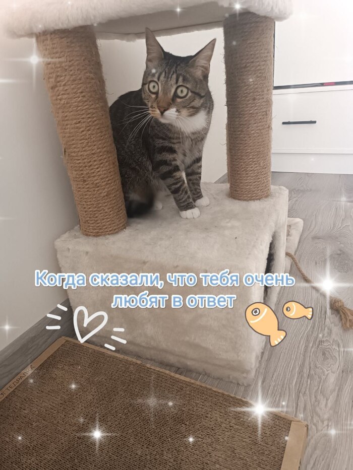 Не бойтесь признаваться :3