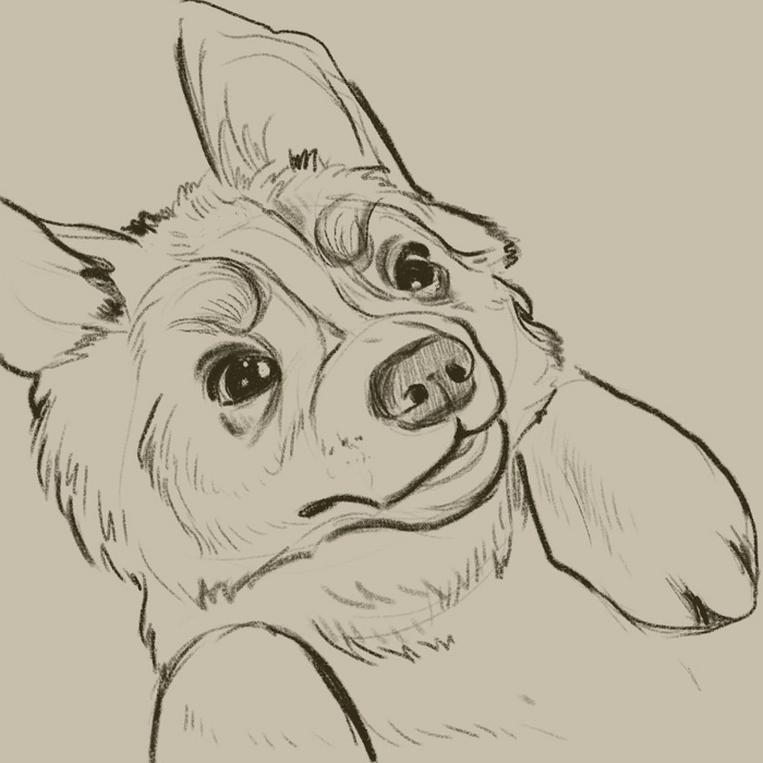 �������