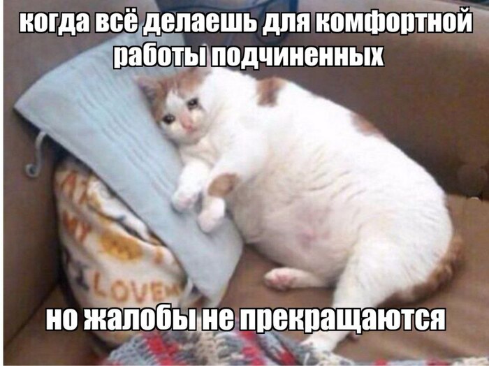 Когда идешь навстречу подчиненным, а они сели на голову