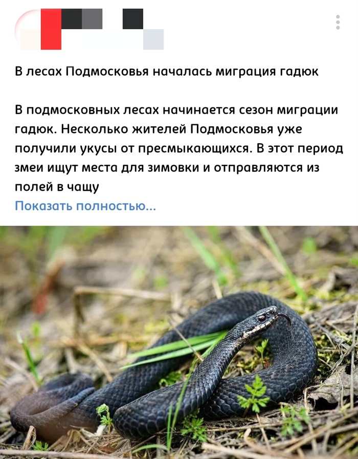 Твои бывшие куда-то собрались