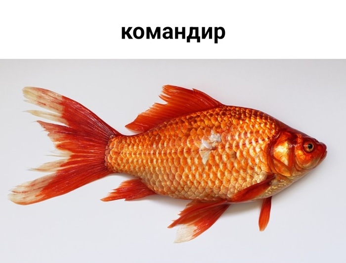  ,  012 ,  , , , 