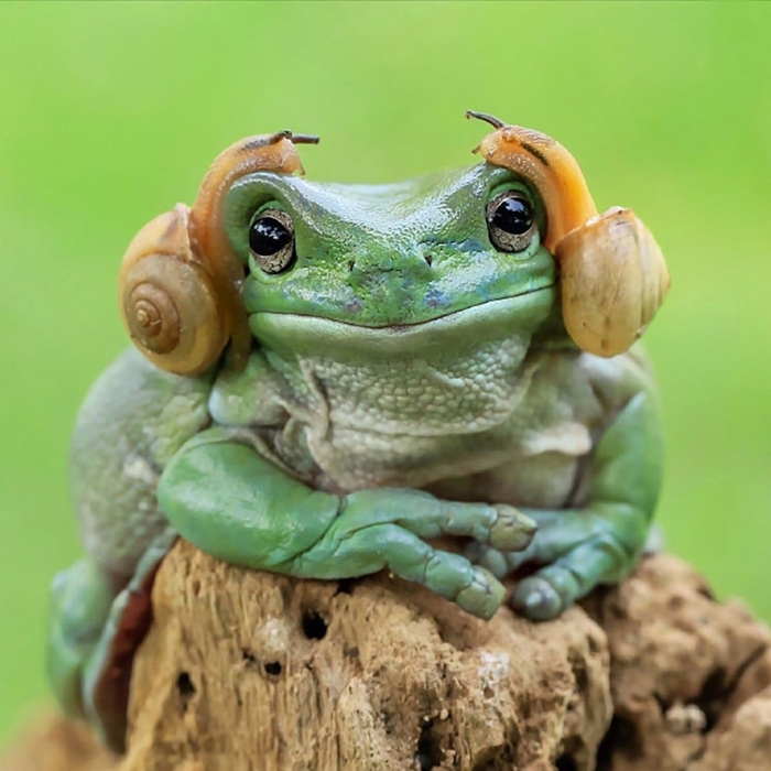 С днем Среды, мои чуваки!