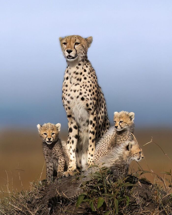 Куда податься? | Пикабу