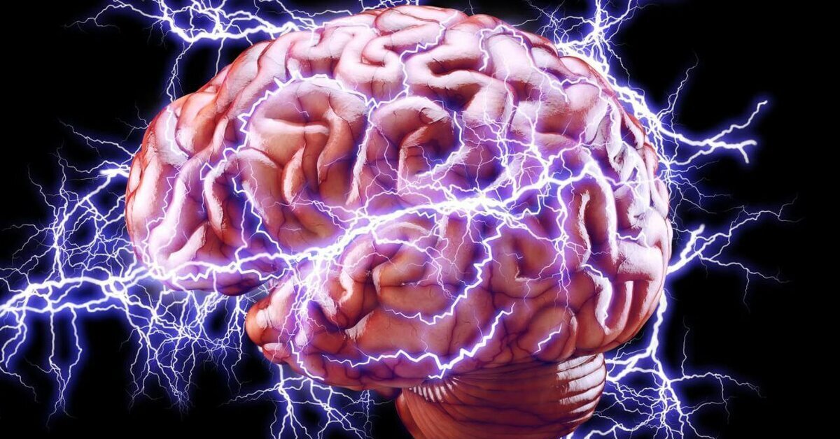 Brain rot. Уникальный мозг. Химия мозга.
