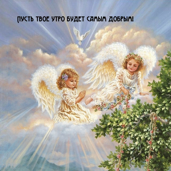 ������ ����, �����������!