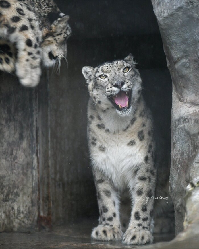 За секунду до...