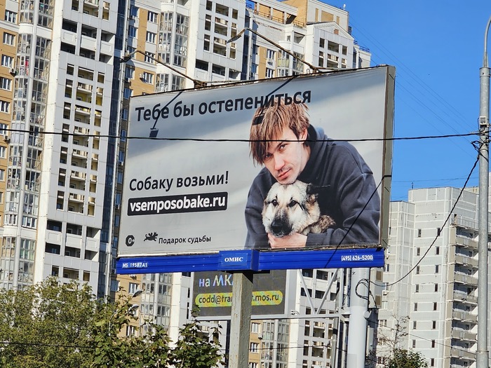 На что мне тут намекают?