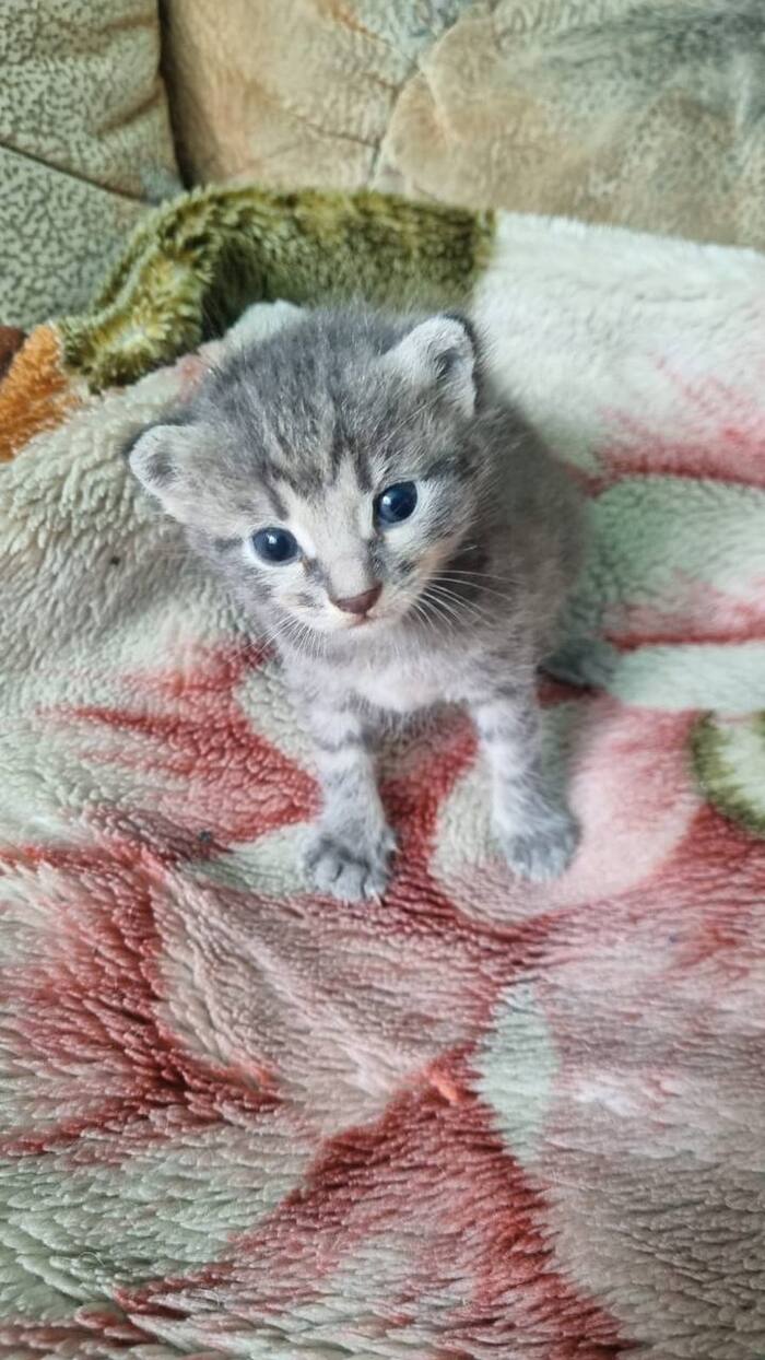 Грустный пост