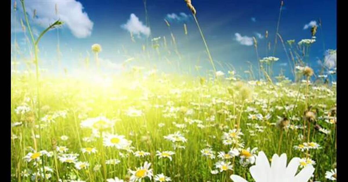 Замершее лето | Пикабу