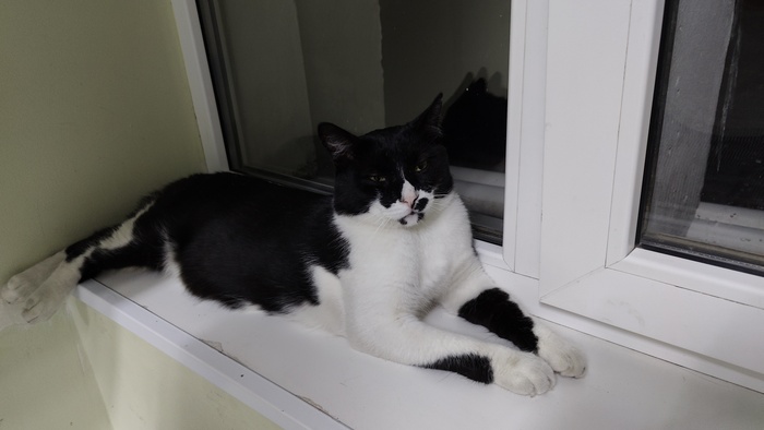 ������� � ������� ����������)