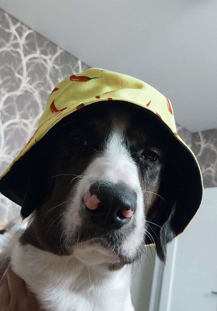 Когда забыли сказать что ты хороший мальчик