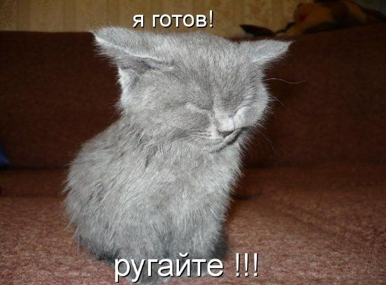  OdioElIngles       35     