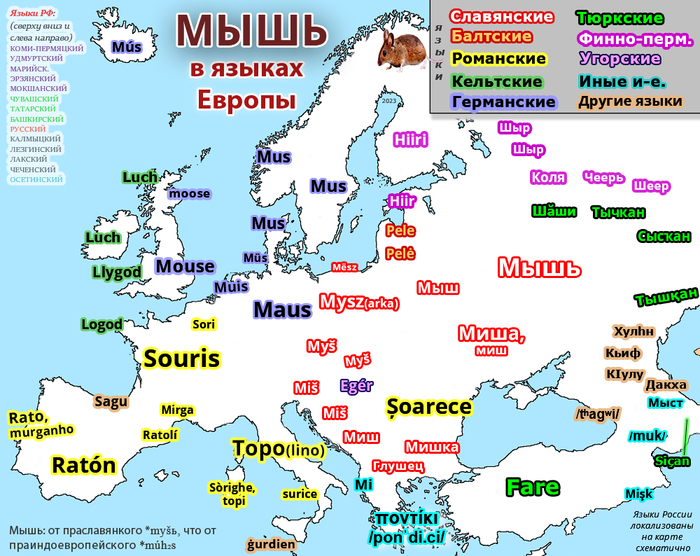 Карта: мышь в языках Европы Иностранные языки, Мышь, Карты, Сравнение, Слова, Лингвистика