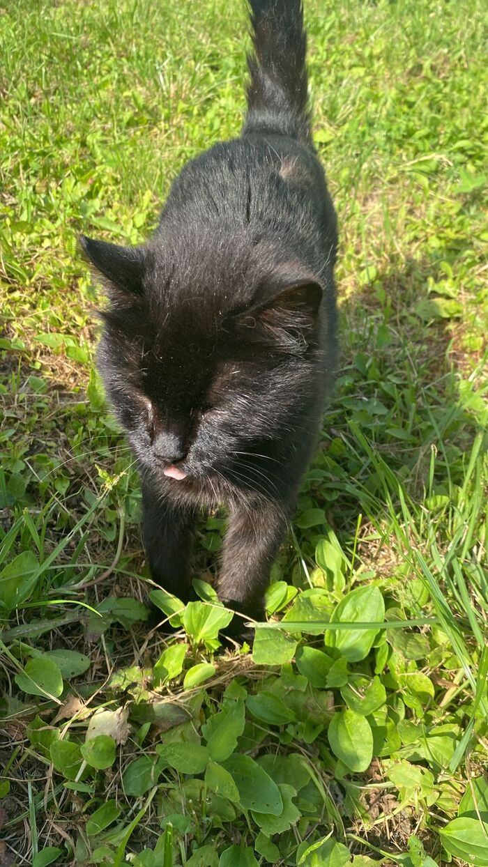 Приют | Пикабу