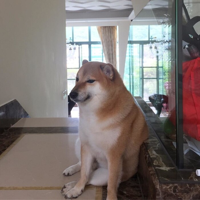    , , -, , , 