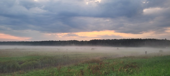 Вечерний туман
