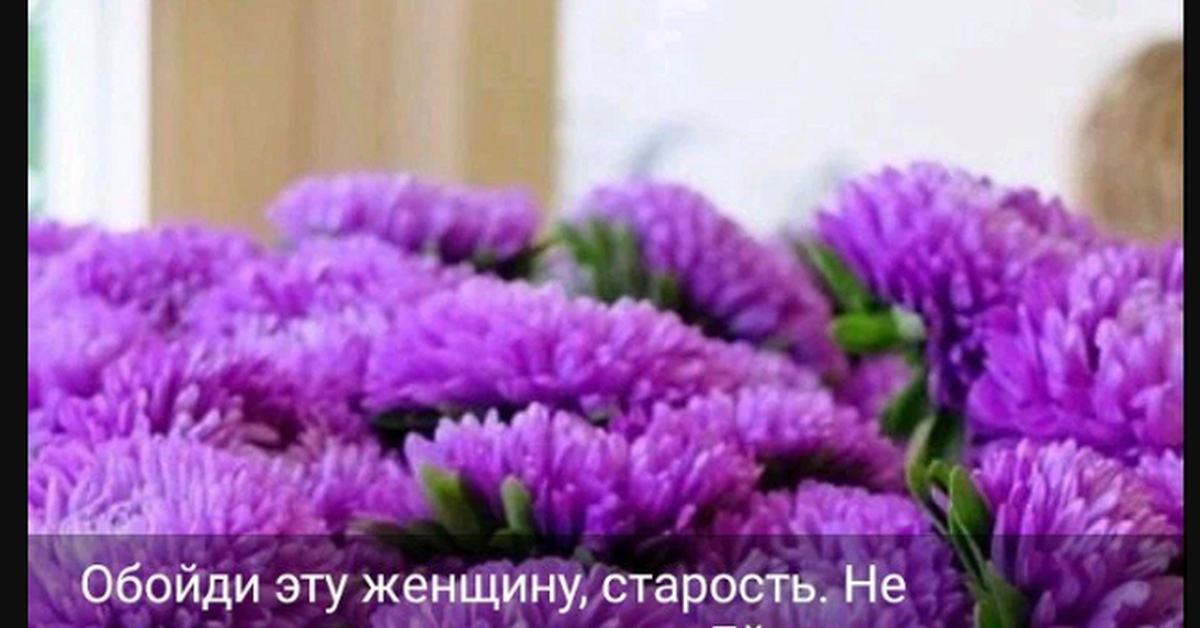 Обойди, просто обойди... | Пикабу