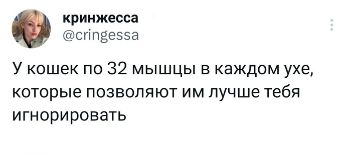 В точку | Пикабу