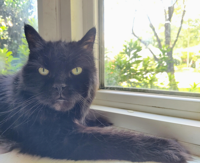 �� �������� ���