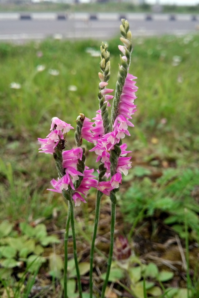 ����� ������� :)