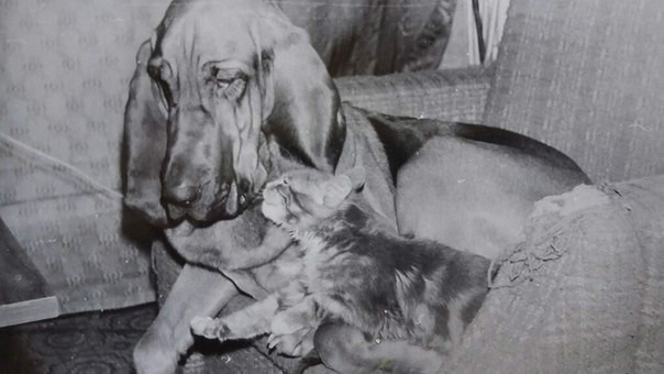 ���� �����