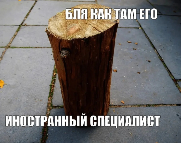 Иностранный специалист