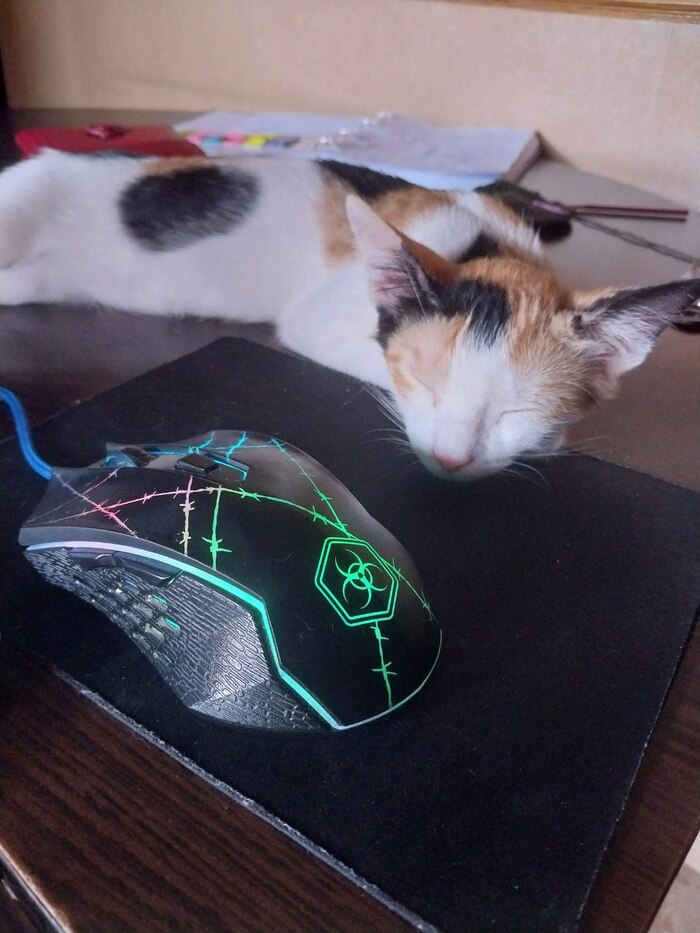 �������