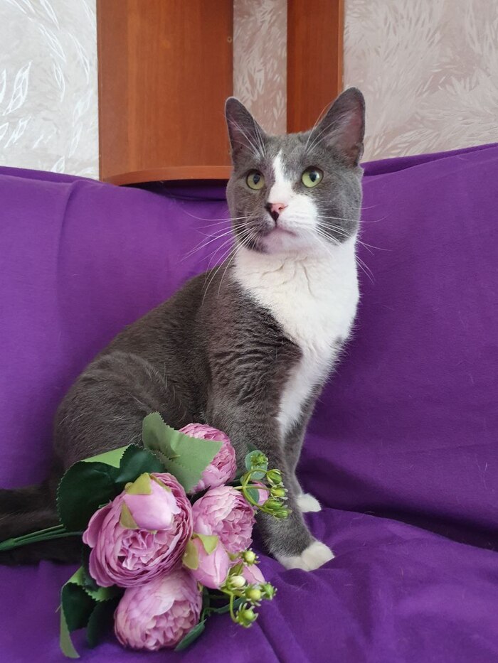 Не позавидуешь