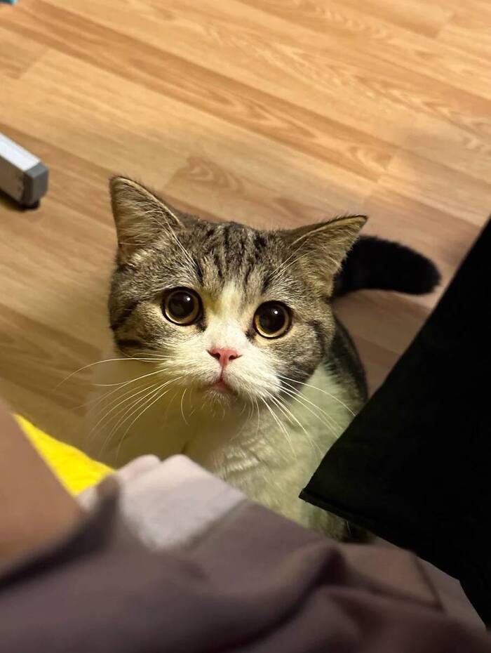 Сегодня тоже на работу пойдешь?