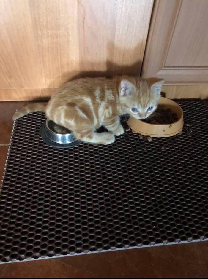 � ���!? �������� � ��������.