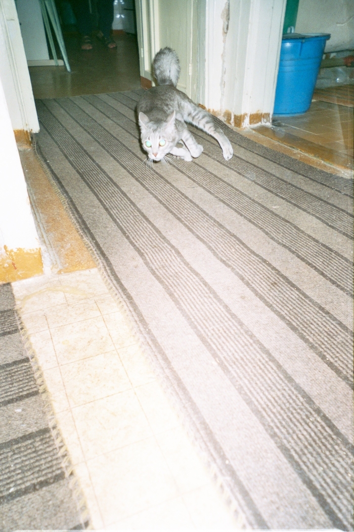 ����� ������. 2006 ���. ��������� ���� �� �������� �����������. ���� �� �������, ��� �� ���������.