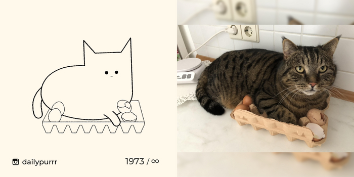 Когда тебе не дали чётких инструкций, как высиживать яица