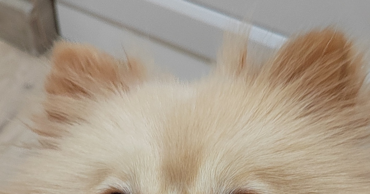 Я Тяпа | Пикабу