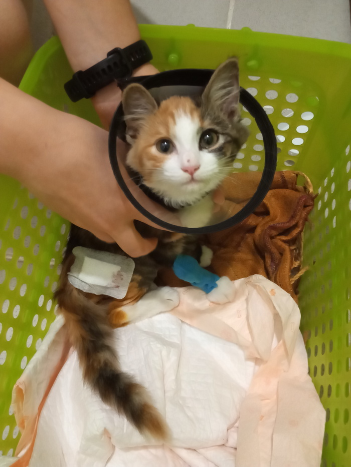 ���������� ���� � ��������