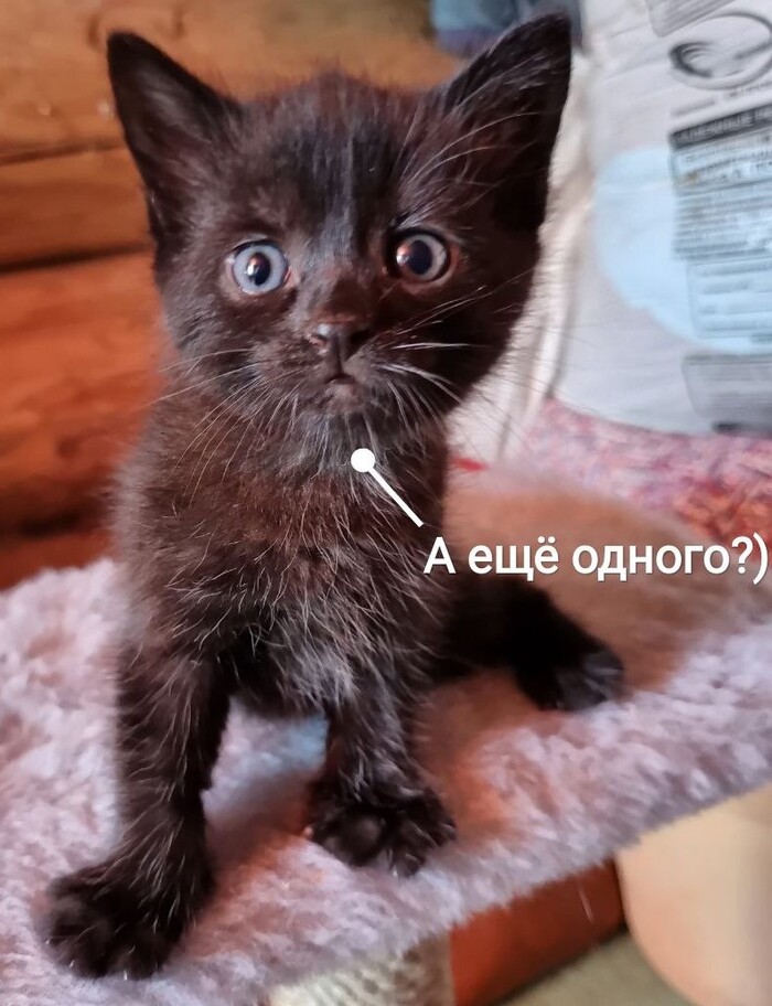   .    ,   , ,  , ,  ,  ,  , ,   