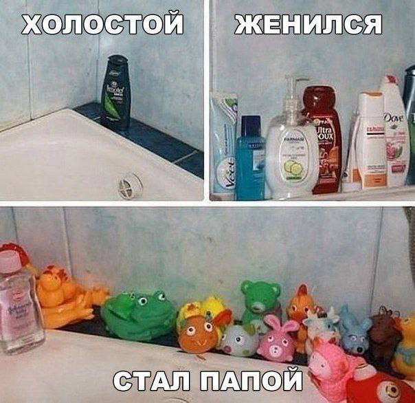 Метаморфозы | Пикабу
